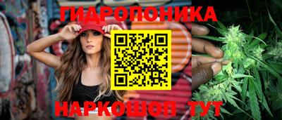 spice Партизанск
