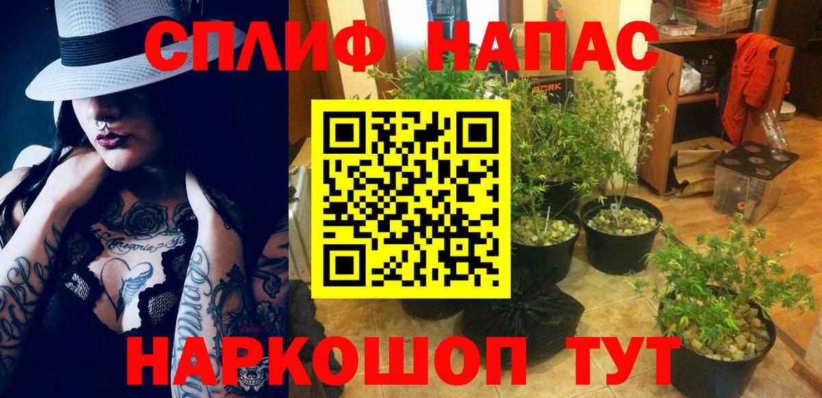 Сергиев Посад  Бошки марихуана SATIVA & INDICA  Вход с VPN  Бошки марихуана индика  Конопля сатива  Канабис LSD WEED 